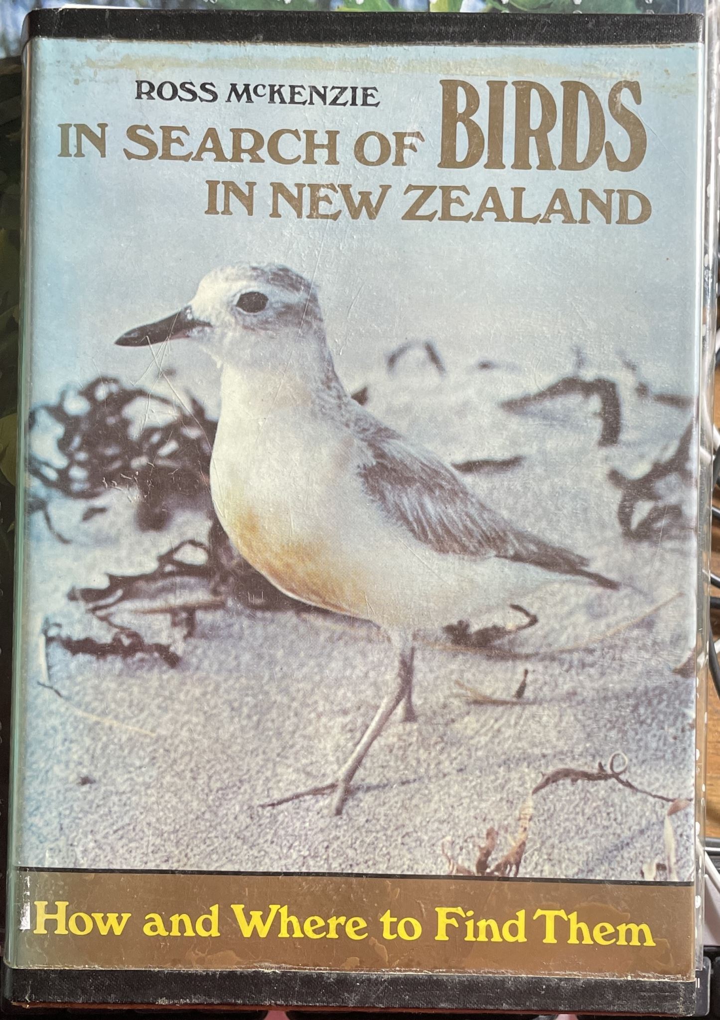 In Search of Birds in New Zealand How and Where to Find Them by Ross McKenzie